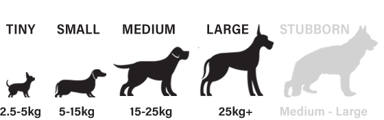 Suitable for tiny, small, medium and large dogs
